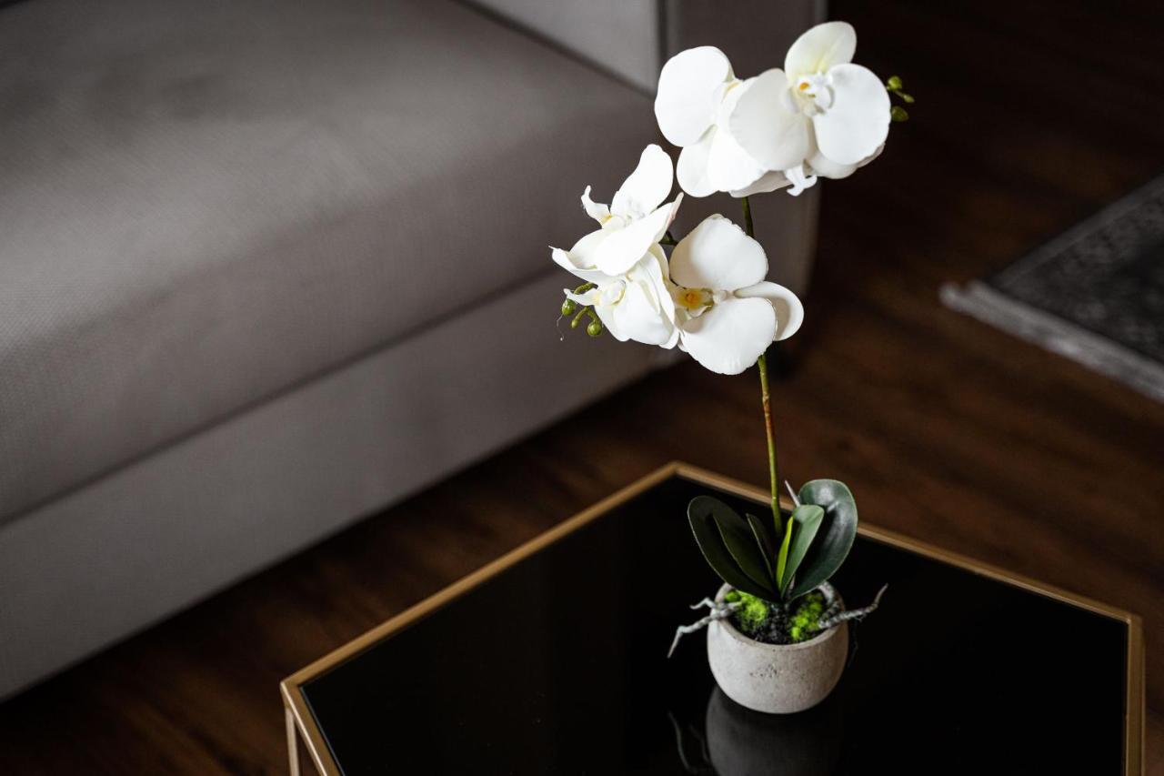 Glyfada Premium Residence 雅典 外观 照片